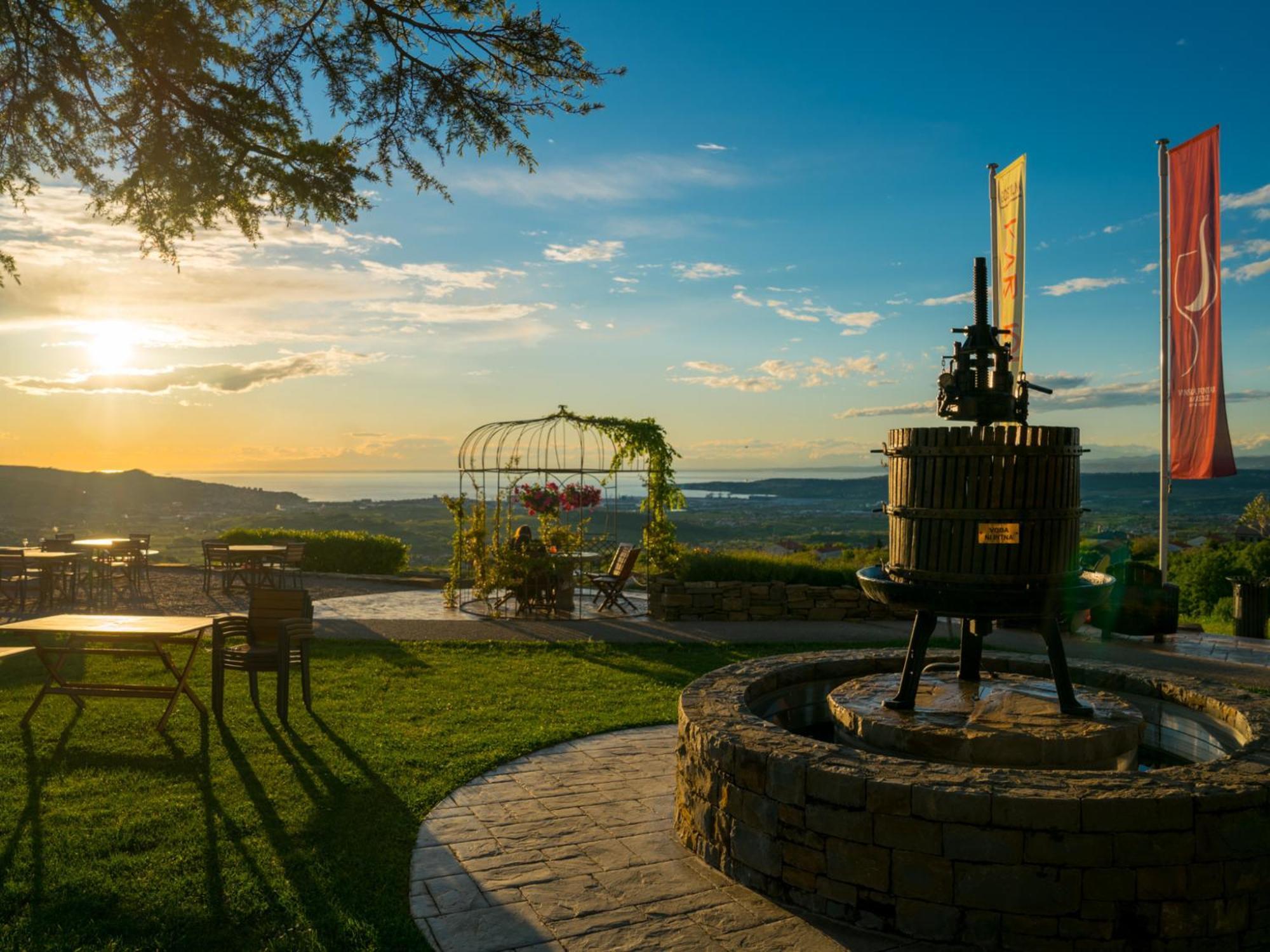 Wine Paradise - Glamping Resort ماريزيج المظهر الخارجي الصورة