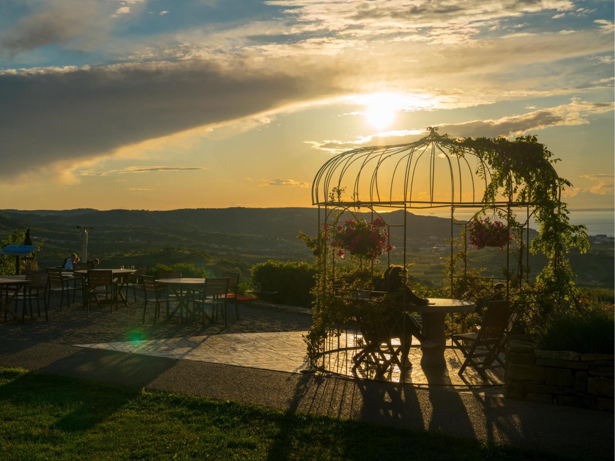 Wine Paradise - Glamping Resort ماريزيج المظهر الخارجي الصورة